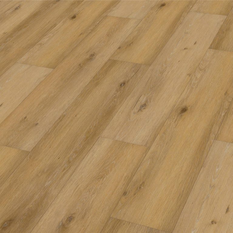 Mon Alvéole Espaces de vie indépendants écoresponsables et solidaires vêture sol lames PVC imitation parquet