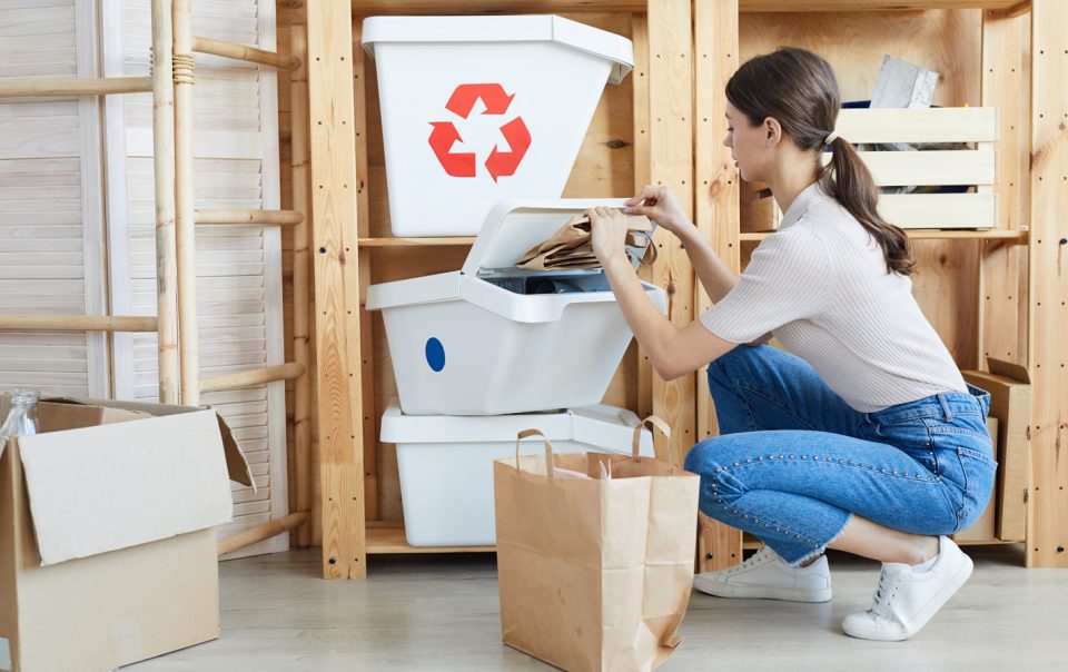 Mon Alvéole Espaces de vie indépendants écoresponsables et solidaires circuit court économie circulaire