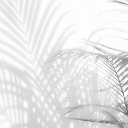 Mon Alvéole Espaces de vie indépendants écoresponsables et solidaires toile tendue Arketex