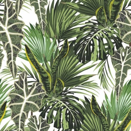 Mon Alvéole Espaces de vie indépendants écoresponsables et solidaires toile tendue Arketex